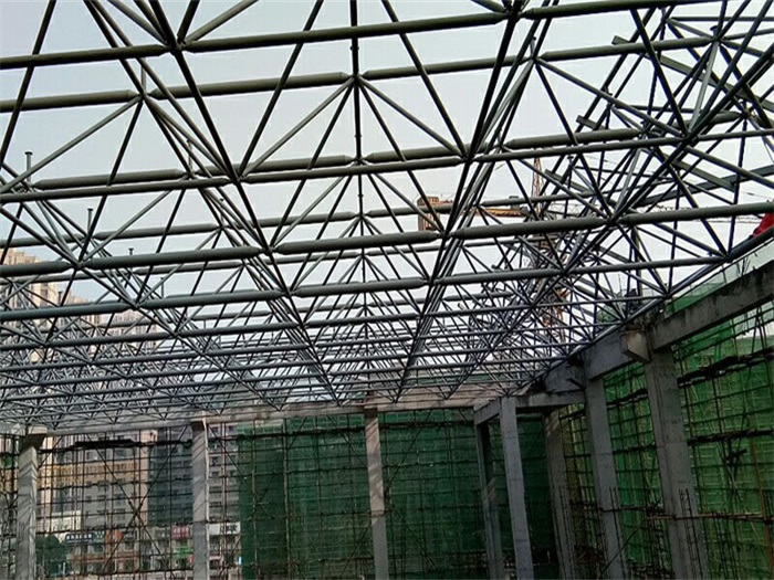 闵行光谷第十一小学网架